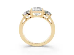 Princess Cut Diamond Three-Stone Ring Set in Yellow gold with Round Side Stones and Classic Band