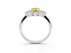 Fancy Yellow Emerald Cut Diamond Cluster Ring Set in Silver with Beaded Band