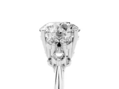 Round Cut Diamond Cluster Ring Set in White gold with Plain Band and Prong Setting
