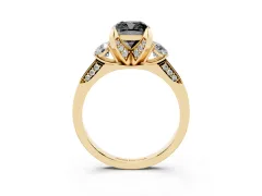 Fancy Black Cushion Cut Diamond Three-Stone Ring Set in Yellow gold with Pavé Band and Smaller Side Stones