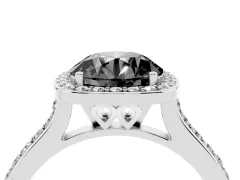 Fancy Black Round Cut Diamond Halo Engagement Ring Set in Platinum with Round Pavé Shoulders and Heart Gallery
