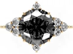 Fancy Black Round Cut Diamond Cluster Ring Set in Yellow gold with Beaded Band