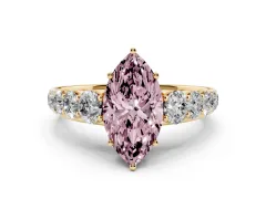 Marquise