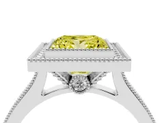 Fancy Yellow Princess Cut Diamond Halo Milgrain Pavé Band Ring Set in Platinum with Prong Setting