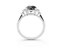 Fancy Black Round Cut Diamond Cluster Ring Set in Silver with Plain Band and Prong Setting