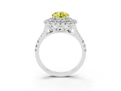 Fancy Yellow Round Cut Diamond Double Halo Ring Set in Silver with Pavé Split Shank and Prong Setting