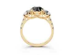 Fancy Black Round Cut Diamond Three-Stone Ring Set in Yellow gold with Pavé Band