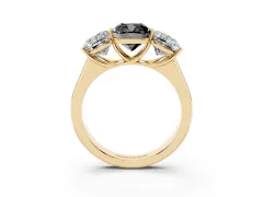 Fancy Black Cushion Cut Diamond Three-Stone Ring Set in Yellow gold with Plain Polished Band
