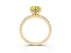 Fancy Yellow Round Cut Diamond Pavé Solitaire Ring Set in Yellow gold with Round Band Accents and Prong Setting