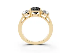 Fancy Black Cushion Cut Diamond Three-Stone Ring Set in Yellow gold with Round Side Stones and Classic Band