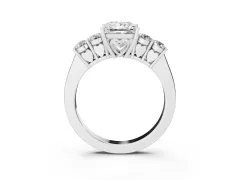 Princess Cut Diamond Five-Stone Prong Set Band Ring Set in White gold with Polished Band