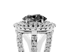 Fancy Black Oval Cut Diamond Double Halo Ring Set in Platinum with Round Pavé Split Shank