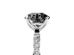 Fancy Black Round Cut Diamond Solitaire Engagement Ring Set in Silver with Round Pavé Band and Prong Setting