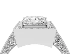 Princess Cut Diamond Halo Engagement Ring Set in Silver with Accent Split Shank Band