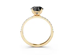 Fancy Black Round Cut Diamond Solitaire Engagement Ring Set in Yellow gold with Round Pavé Band and Prong Setting