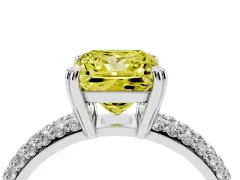 Fancy Yellow Princess Cut Diamond Solitaire Ring Set in Platinum with Multi-Row Round Pavé Band and Prong Setting