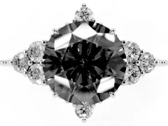 Fancy Black Round Cut Diamond Cluster Ring Set in White gold with Beaded Band
