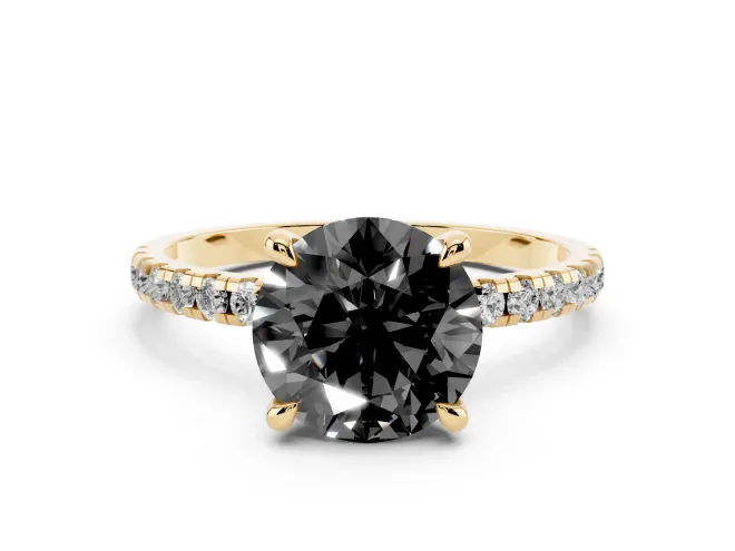 Fancy Black Round Cut Diamond Brilliant Solitaire Ring Set in Yellow gold with Pavé Band and Prong Setting
