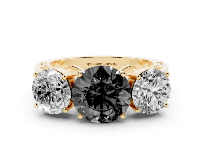 Fancy Black Round Cut Diamond Three-Stone Ring Set in Yellow gold with Textured Band