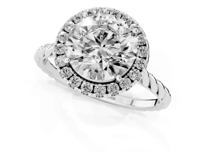 Round Halo Engagement Ring Setting | Twisted Rope Band | Platinum – second view