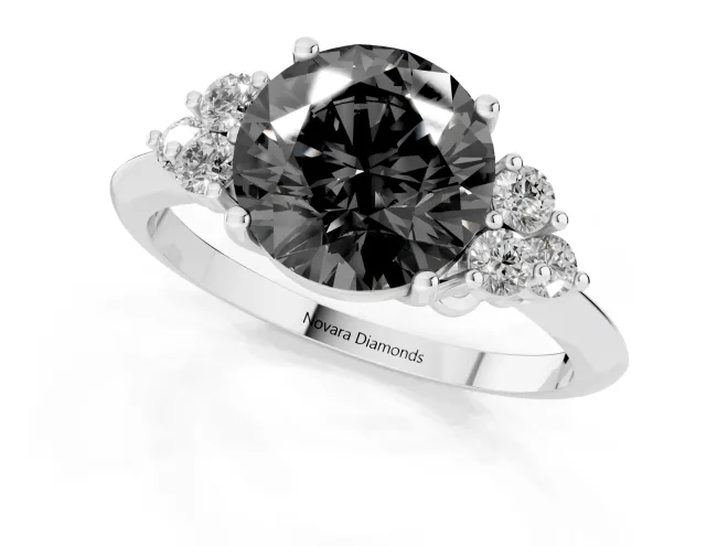 Fancy Black Round Cut Diamond Cluster Ring Set in White gold with Plain Band and Prong Setting – second view