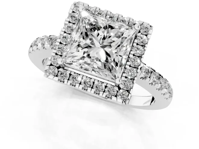 Princess Cut Diamond Pavé Band Halo Engagement Ring Set in Platinum with Prong Setting – second view