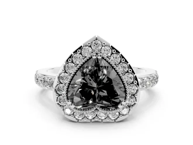 Fancy Black Heart Cut Diamond Halo Ring Set in Platinum with Pavé Shank and Prong Setting