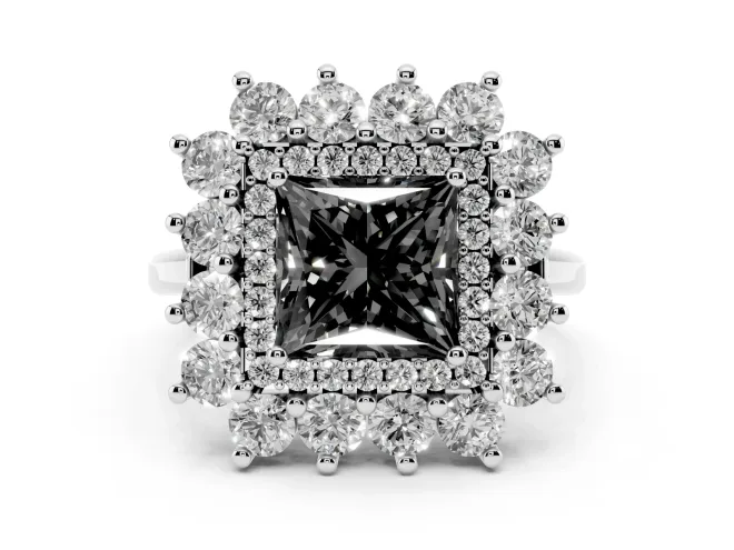 Princess Cut Floral Double Halo Engagement Ring Setting for a Black Center | Plain Band | White Gold