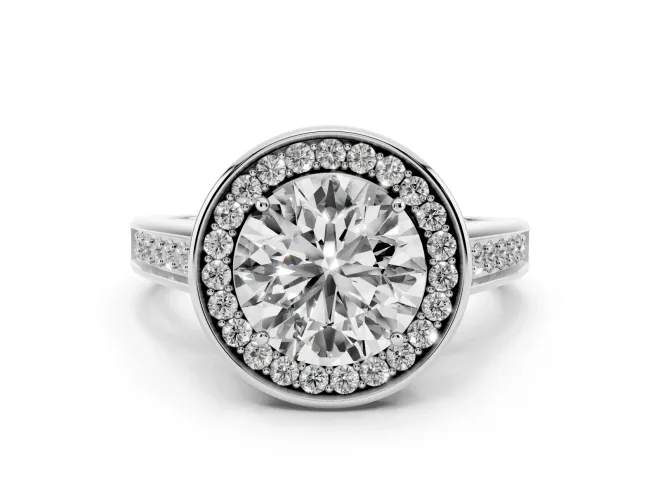 Round Halo Engagement Ring Setting | Polished Outer Rim | Platinum