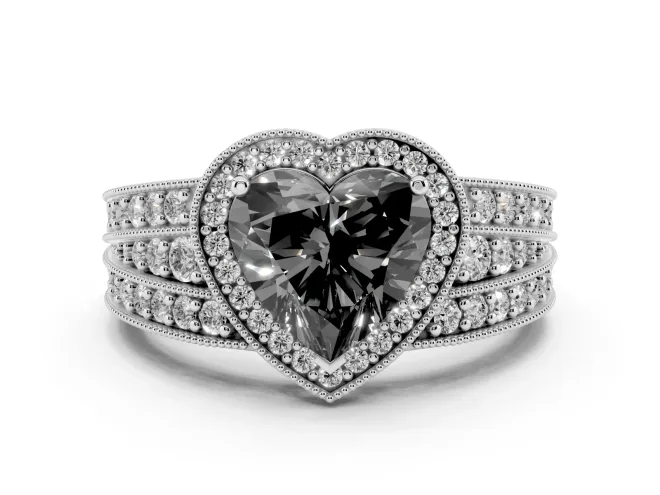 Fancy Black Heart Cut Diamond Halo Ring Set in Silver with Accent Split Shank and Prong Setting