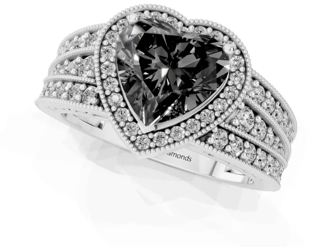 Fancy Black Heart Cut Diamond Halo Ring Set in Silver with Accent Split Shank and Prong Setting – second view