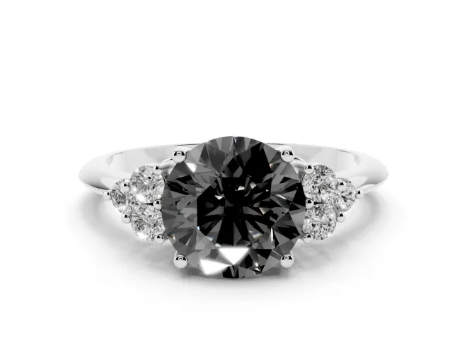 Fancy Black Round Cut Diamond Cluster Ring Set in White gold with Plain Band and Prong Setting