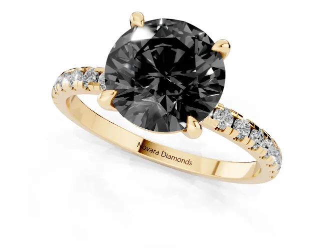 Fancy Black Round Cut Diamond Brilliant Solitaire Ring Set in Yellow gold with Pavé Band and Prong Setting – second view