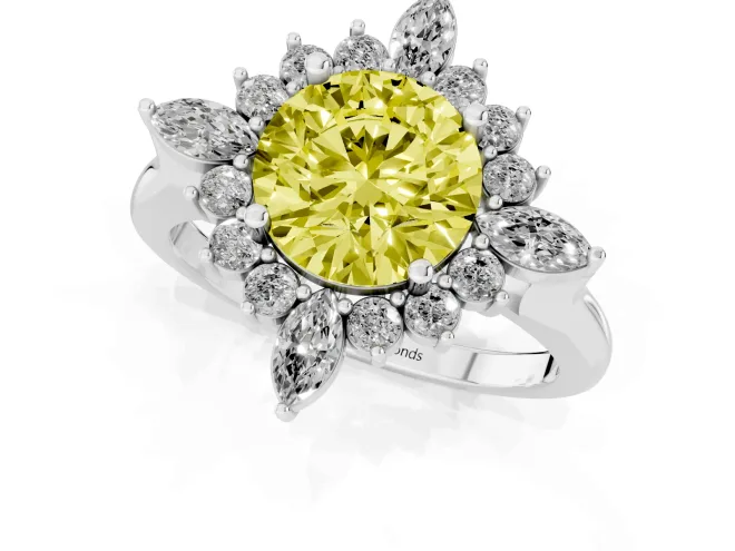 Fancy Yellow Round Cut Diamond Cluster Halo Ring Set in White gold with Marquise and Round Accents – second view