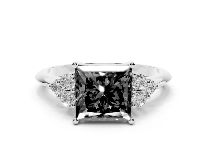 Fancy Black Princess Cut Diamond Cluster Ring Set in Platinum with Plain Band and Prong Setting