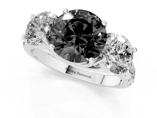 Fancy Black Round Cut Diamond Three-Stone Ring Set in Platinum with Pavé Band – second view