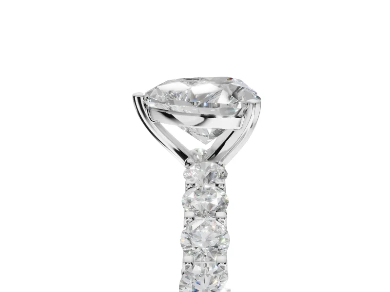 Heart-Shaped Shared Prong Engagement Ring Setting | Two-Row Band | White Gold