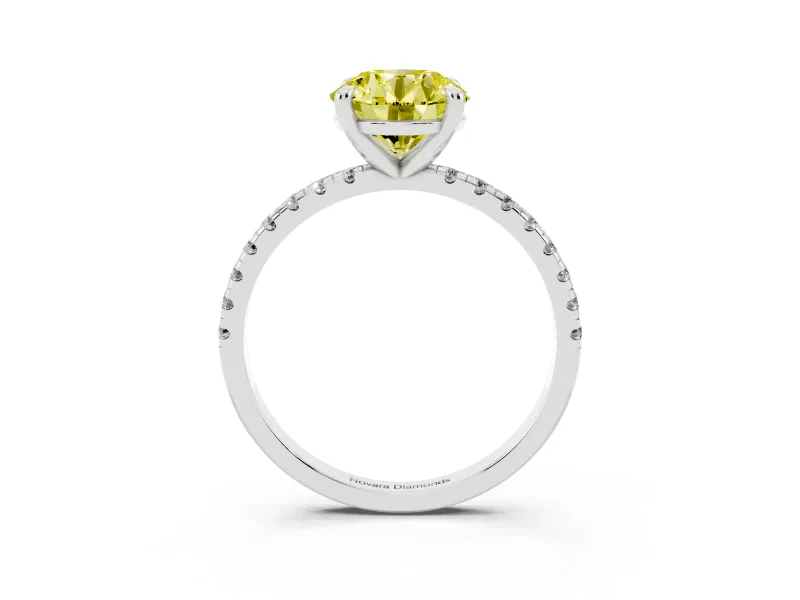 Fancy Yellow Round Cut Diamond Brilliant Solitaire Ring Set in Platinum with Pavé Band and Prong Setting
