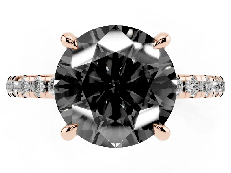 Fancy Black Round Cut Diamond Brilliant Solitaire Ring Set in Rose gold with Pavé Band and Prong Setting