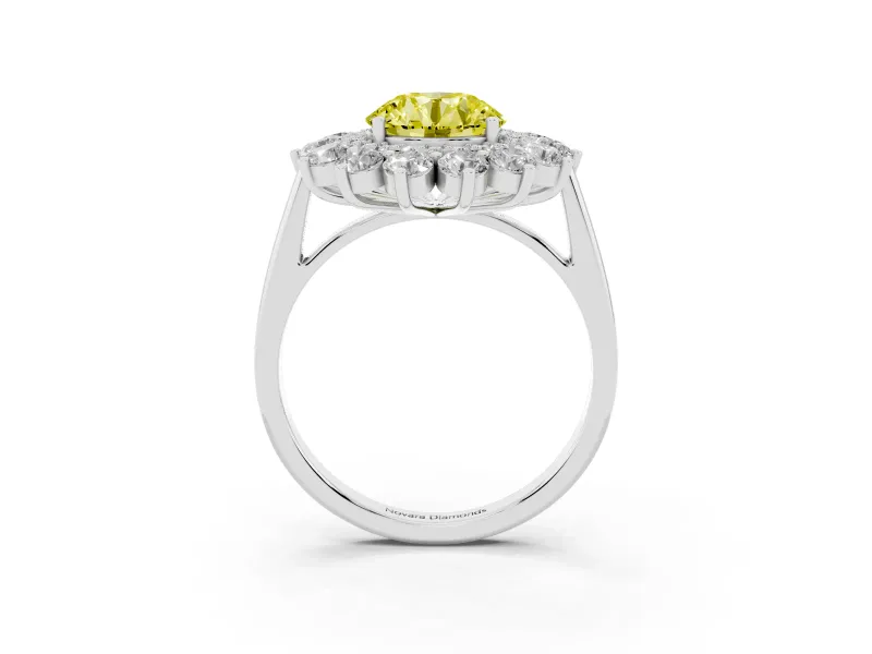 Round Floral Double Halo Engagement Ring Setting for a Fancy Yellow Lab-Grown Diamond | Plain Band | Sterling Silver