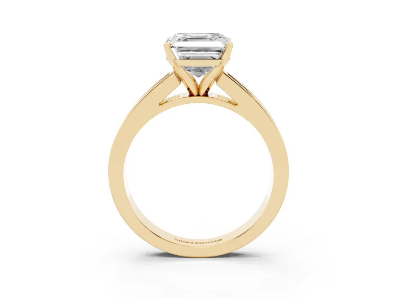 Asscher Cut Channel Set Engagement Ring Setting | Princess Cut Accents | Yellow Gold
