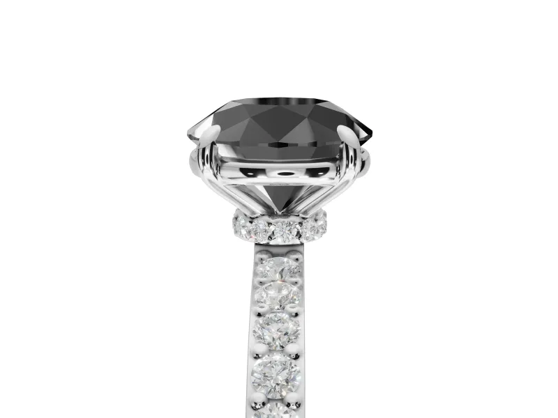 Round Hidden Halo Solitaire Engagement Ring Setting for a Black Center | Pavé Band | Platinum