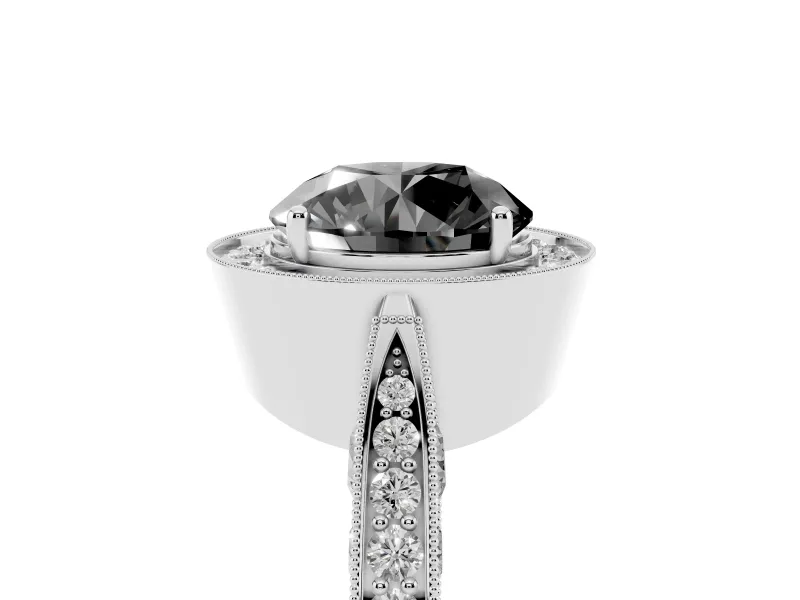 Round Milgrain Halo Engagement Ring Setting for a Black Center | Side Stones | Platinum