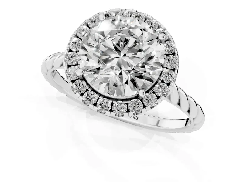 Round Halo Engagement Ring Setting | Twisted Rope Band | Platinum
