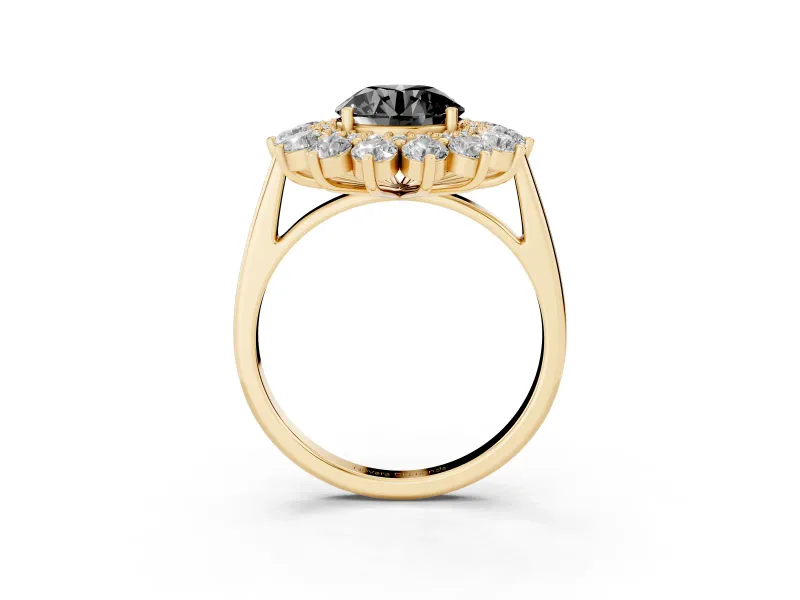 Round Floral Double Halo Engagement Ring Setting for a Black Center | Plain Band | Yellow Gold