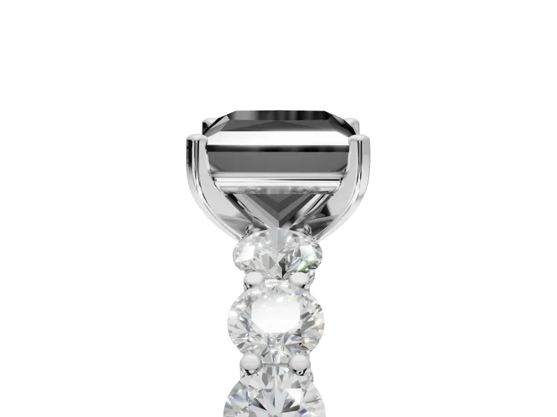 Princess Cut Side Stone Engagement Ring Setting for a Black Center | White Gold