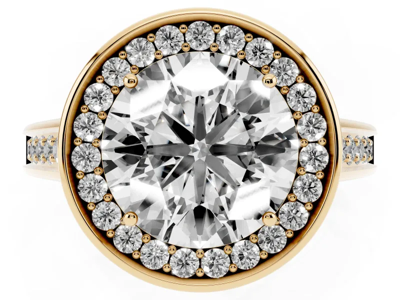 Round Halo Engagement Ring Setting | Polished Outer Rim | Yellow Gold