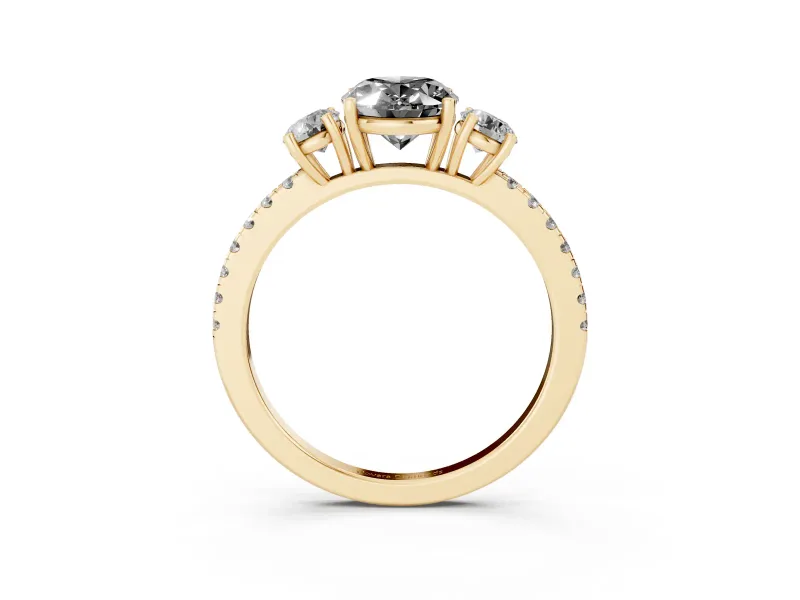 Fancy Black Oval Cut Diamond Three-Stone Ring Set in Yellow gold with Pavé Band and Graduated Sides