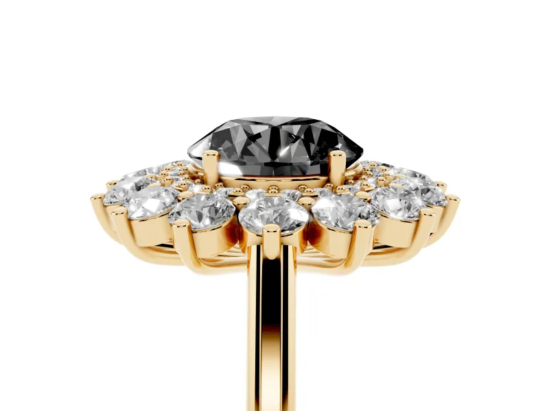 Round Floral Double Halo Engagement Ring Setting for a Black Center | Plain Band | Yellow Gold