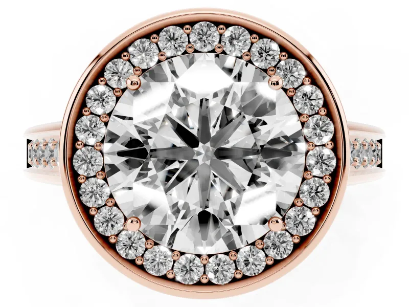 Round Halo Engagement Ring Setting | Polished Outer Rim | Rose Gold